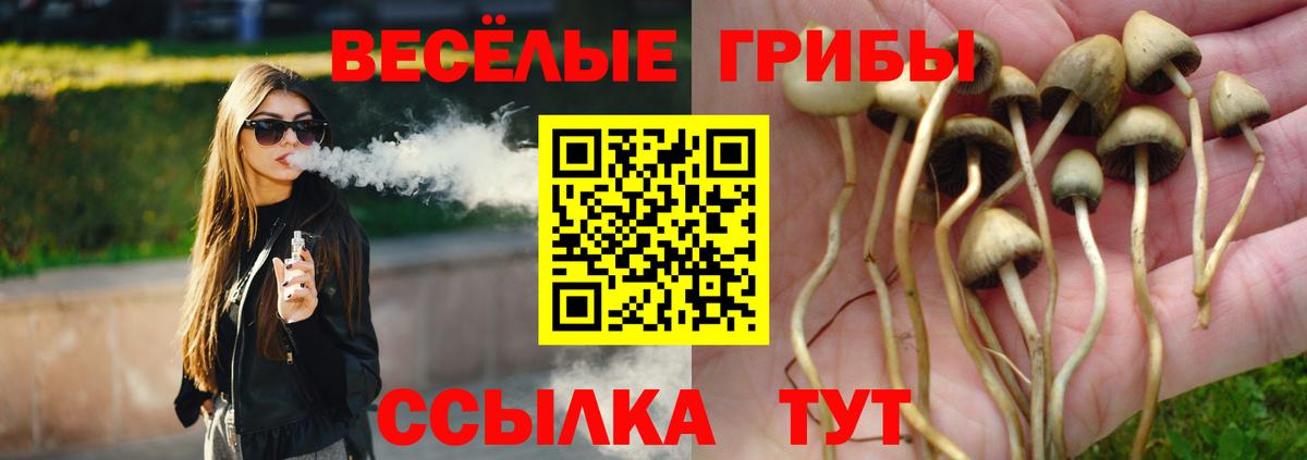 Видное  Псилоцибиновые грибы ЛСД  Вход с VPN 